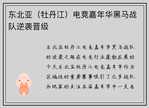 东北亚（牡丹江）电竞嘉年华黑马战队逆袭晋级